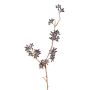 Rama artificial de eucalipto SOHA con frutos, marrón oscuro, 60cm