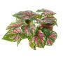 Caladium artificial BECRUX en varilla de ajuste, verde-rosa, 35cm