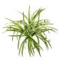 Cintas de plástico KOCHAB, en varilla de ajuste, verde-amarillo, 55cm