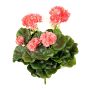 Geranio artificial CAPH en varilla de ajuste, rosa, 30cm