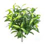Cintas de plástico ANKAA en varilla de ajuste, verde, 40cm
