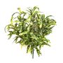 Cintas de plástico ANKAA en varilla de ajuste, verde-amarillo, 40cm