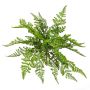 Helecho águila artificial ARCHES en varilla de ajuste, verde, 30cm, Ø40cm