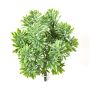Crossostephium artificial KARAHNI en varilla de ajuste, verde, 20cm