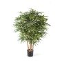 Aralia artificial MAKASIM, troncos reales, verde, 115cm