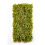 Estera de musgo islandés MUSCIDA, verde-marrón, difícilmente inflamable, 25x50cm
