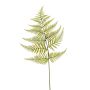 Hoja de helecho espada artificial MBALI, verde, 80cm
