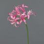 Amarilis de jardín artificial BAIMAI, rosa, 75cm