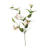 Gloriosa artificial WARIS rosa-crema, 120cm