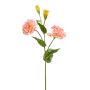 Lisianthus de imitación PHAM, melocotón, 60cm