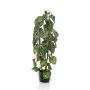 Anturio artificial YAMATO, verde, 75cm
