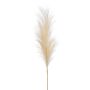 Espiga artificial de hierba de la pampa AMATSIA, crema, 115cm