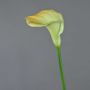 Calla artificial DAISCHI, amarillo-verde, 70cm