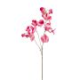 Lathyrus artificial KANZI, rosa, 75cm