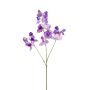 Lathyrus artificial KANZI, morado, 75cm