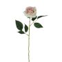 Rosa textil SEENSA, crema-rosa, 55cm, Ø7cm