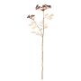 Zanahoria silvestre artificial ODINIO, rojo burdeos, 75cm