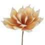 Aloe vera artificial LIERA amarillo-blanco, 30cm