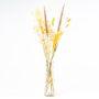 Flores secas con botella LOTTCHEN, marrón, 77cm, Ø15cm