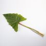 Hoja artificial de Caladium LIANG, verde, 95cm