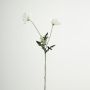 Rama artificial de flores Amapola GUNDULA, Eco Collection, blanco-lila, 70 cm, Ø 7-8 cm