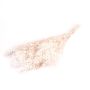 Ramo seco de espino cerval FRIGGA, blanqueado, tratado, elástico, blanco, 70-75 cm, Ø 17 cm