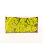 Trozos de musgo de Islandia auténtico SVEINBJÖRN, verde claro, 500g