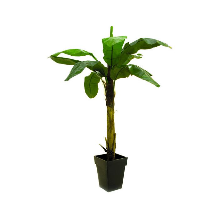 Platanera falsa KEKOA, 220cm - Palmeras artificiales