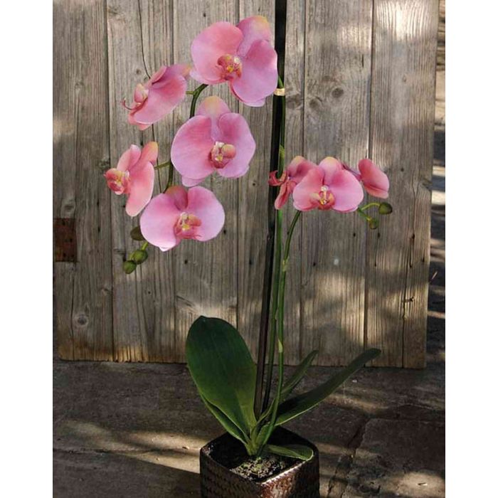 Orquídea Phalaenopsis artificial XIUMARA, cesta de mimbre, rosa-amarillo,  80cm