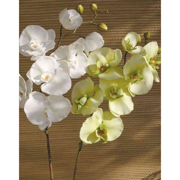 Tallo de Orquídea Phalaenopsis sintética RICKY, verde-crema, 105 cm