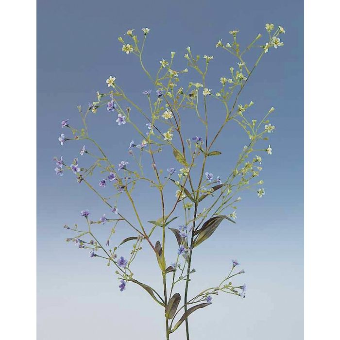 Flor de paniculata artificial ANNAMARIA, verde, 75cm, Ø1cm