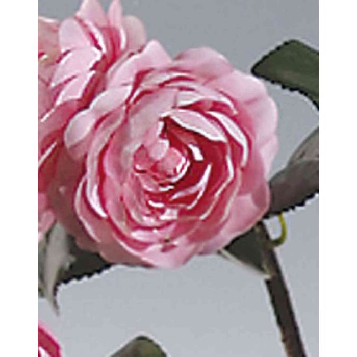 Flor de camelia artificial FLORENTINE, rosa, 30cm, Ø7cm