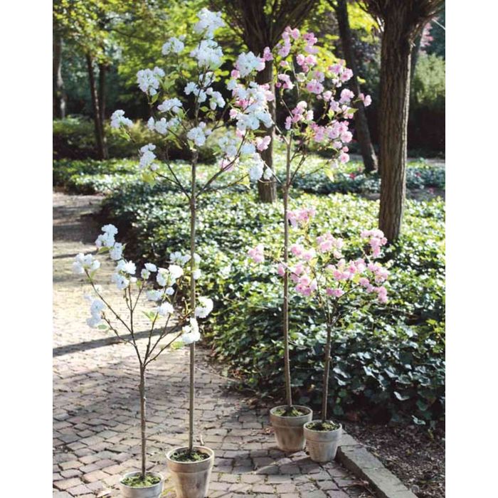 Árbol de cerezo artificial YAGAMI, flores, maceta decorativa, blanco, 170cm