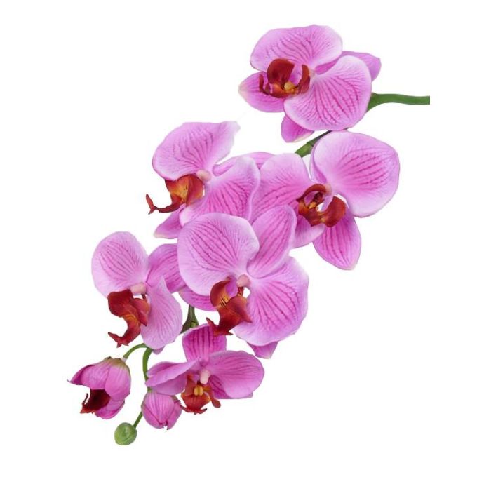 Orquídea Phalaenopsis artificial CEDRA, rosa, 75cm, Ø6-10cm - Flores  artificiales