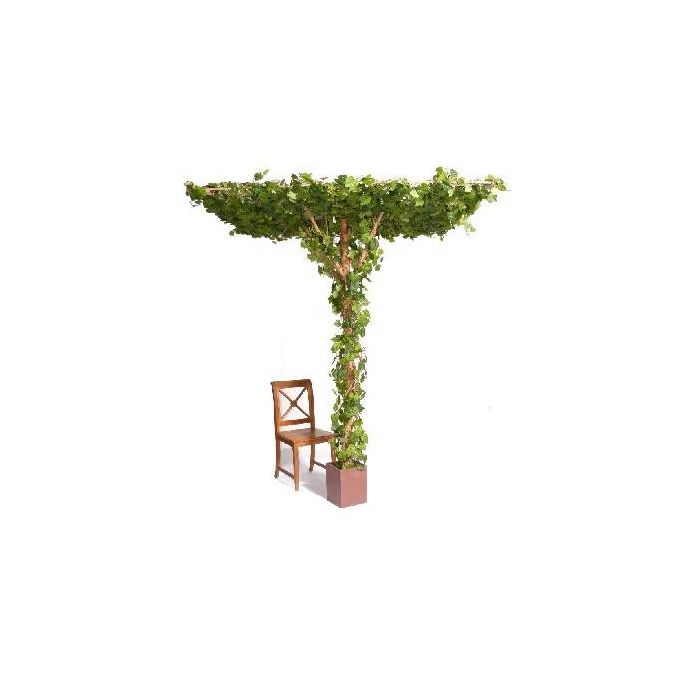 Techo con hojas de parra artificial AGIR, con frutos, verde, 240cm