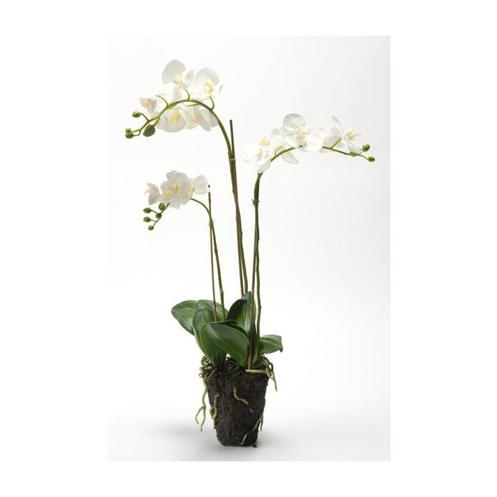 Orquídea Phalaenopsis artificial PABLA bola tierra, blanco, 70cm, Ø8-10cm -  Flores artificiales