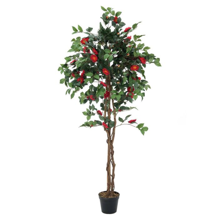 Camelia plástico COSTIA, tronco natural, con flores, rojo, 180cm - Árboles  artificiales