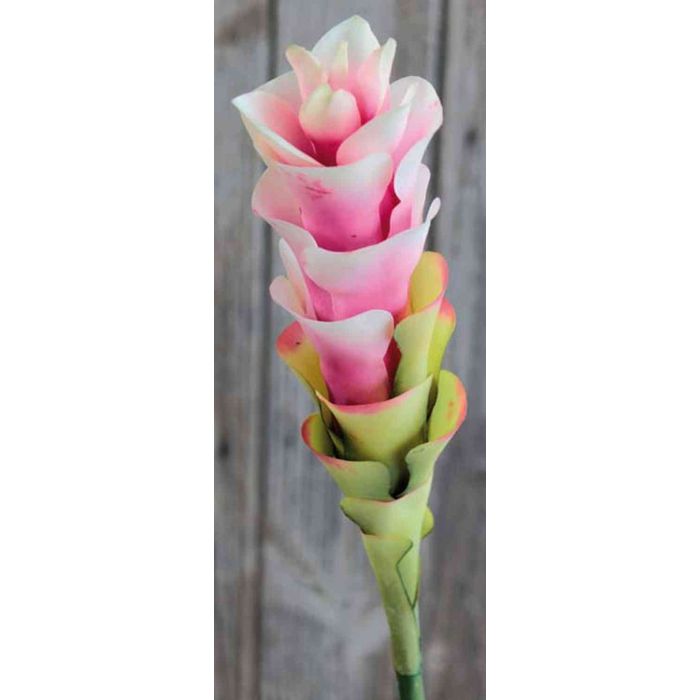 Flor de cúrcuma artificial LENNY, rosa-blanco, 75cm