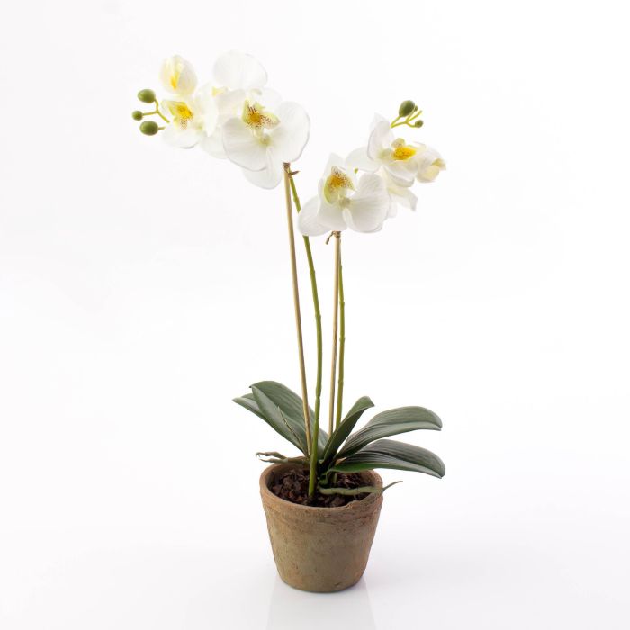 Orquídea Phalaenopsis sintética MINA maceta terracota, blanco, 45cm, Ø6-8cm  - Flores artificiales