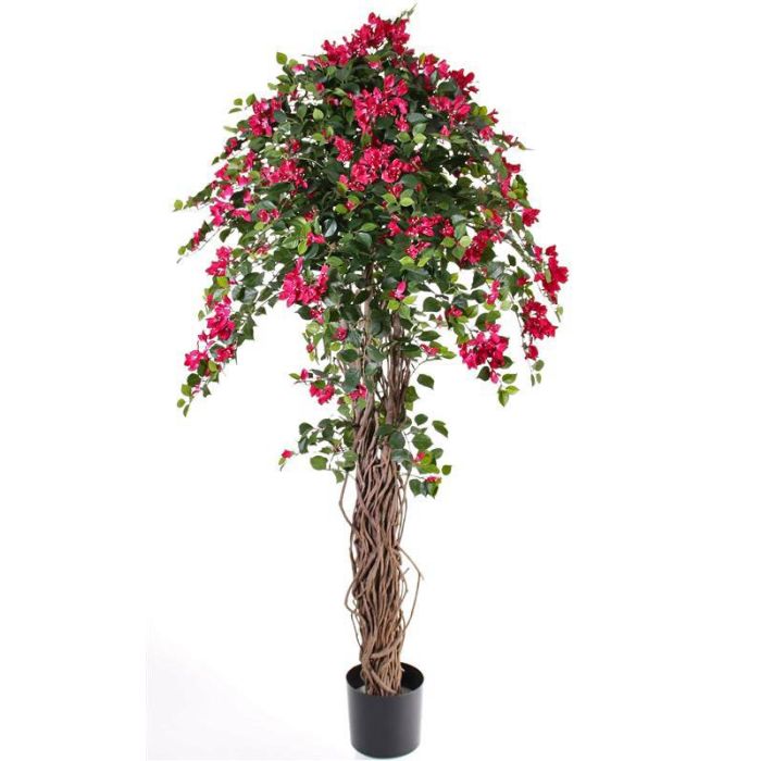 Buganvilia artificial MAYLA, tronco natural, flores, fucsia,175cm - Árboles  artificiales