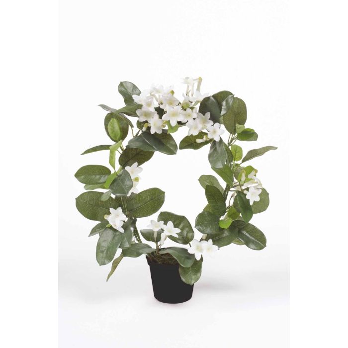 Corona de jazmin de madagascar artificial ALTAY, blanco, 40cm