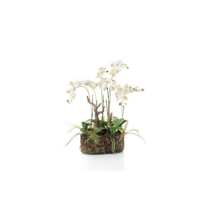 Arreglo floral de orquídea y helecho artificial NERTA en musgo, blanco, 90cm