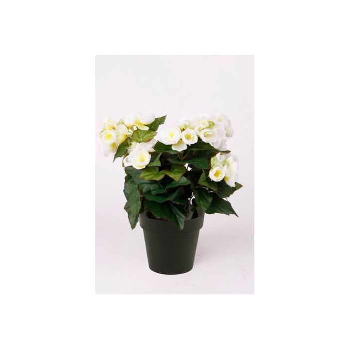 Begonia artificial DOBRADA, crema, 30cm