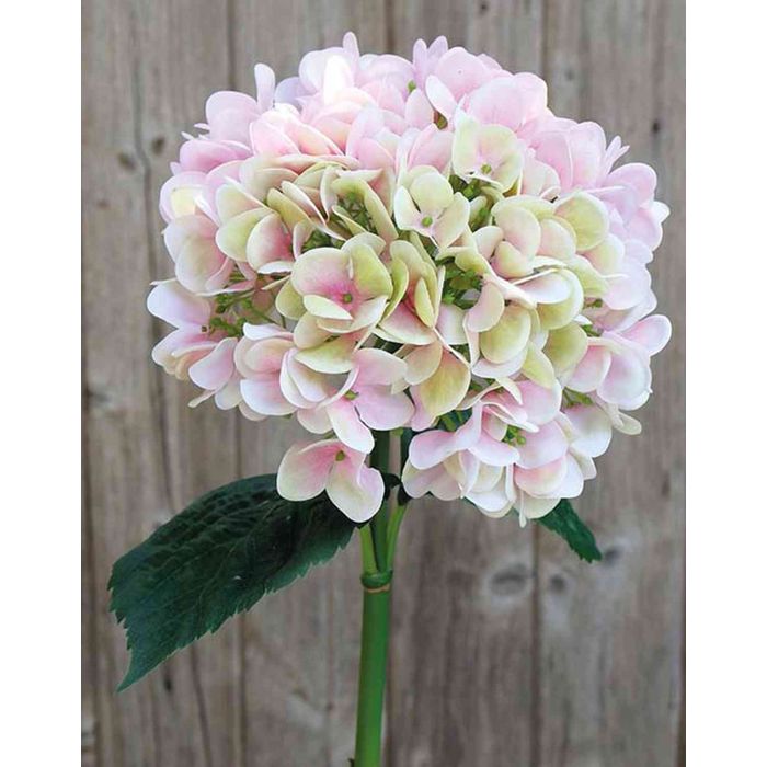 Hortensia artificial THABEA, rosa-verde, 65cm