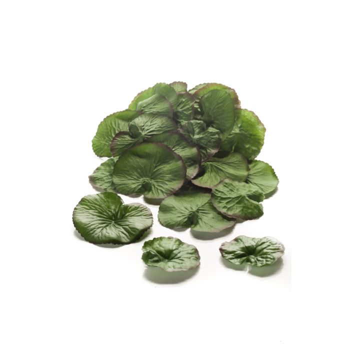 Hojas decorativas de lirio de agua RAMIRUS, 24 piezas, flotante, verde,  15x17cm