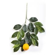 Rama de naranjo artificial ADRIANA, con frutos, verde, 60cm