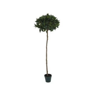 Árbol laurel plástico THISSEAS, tronco real, verde, 180cm, Ø60cm