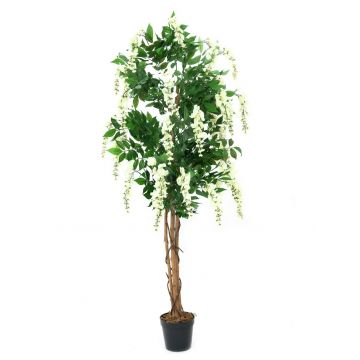 Citiso artificial LESLIE, tronco natural, flores, blanco, 180cm