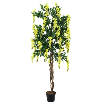 Citiso artificial LESLIE, tronco natural, flores, amarillo, 180cm