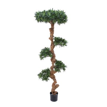 Bonsái Podocarpus de plástico RENZO, tronco natural, verde, 185cm